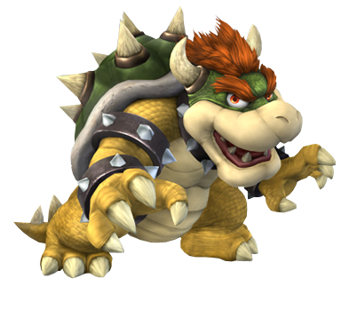 bowser power