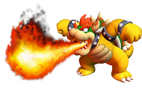 bowser power 4