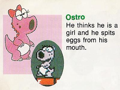 smb2 booklet birdo is a boy