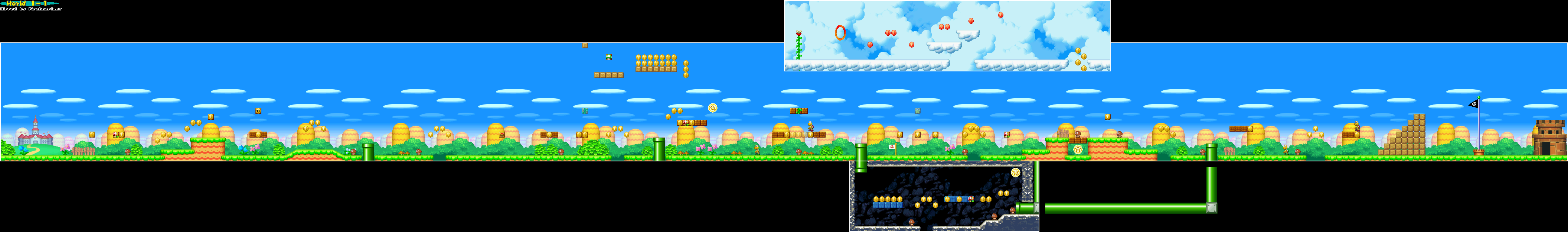 Super Mario Bros Wii World 1 Level 2